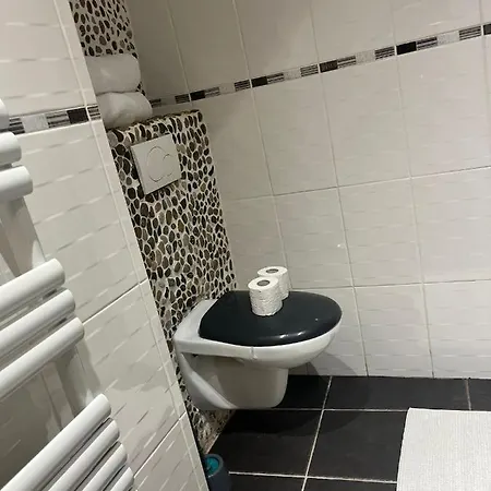 Toulousaine Avec Patio Rdc Διαμέρισμα Aucamville