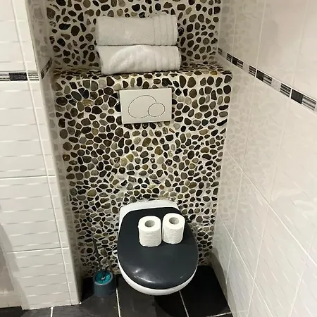 Toulousaine Avec Patio Rdc *