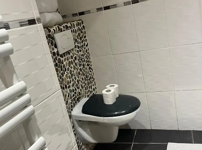 Toulousaine Avec Patio Rdc Διαμέρισμα Aucamville